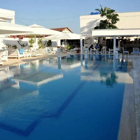 Ilgin Ortakent