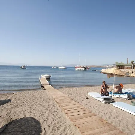 Ilgin 酒店 奥塔肯特