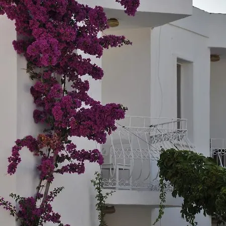 Hotel Ilgin *